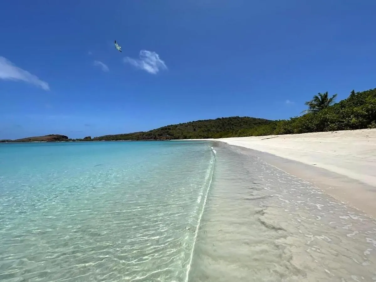 Costa Bonita Villas - Bldg 15 - Ocean View Studio - Resort Pool - Culebra, Pr Apartment Culebra
